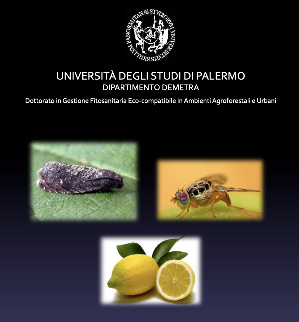 Effects of Natural Compounds from <i>Citrus limon</i> (L.) Burm. f. on the behavior of <i>Ceratitis capitata</i> (Wiedemann) (Diptera: Tephritidae) and <i>Grapholita molesta</i> (Busck) (Lepidoptera: Tortricidae). (Doctoral dissertation)