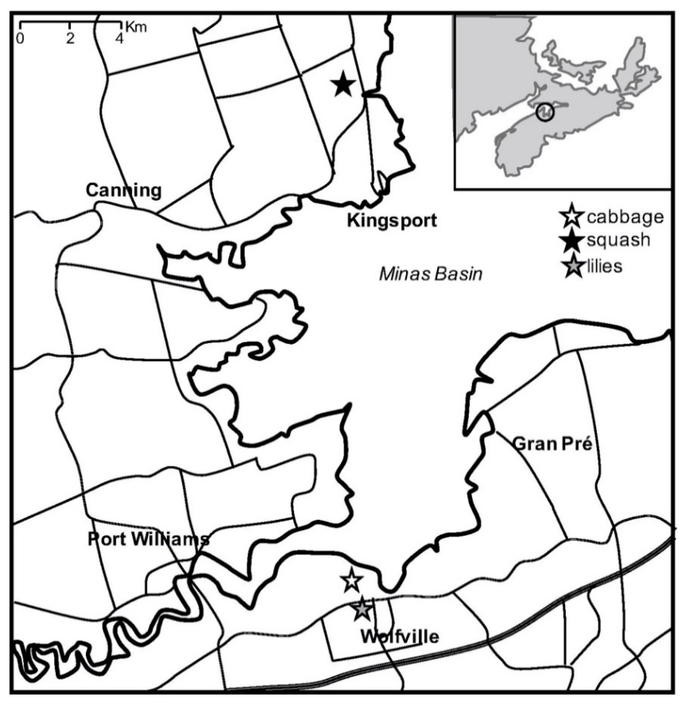 Preliminary evaluation of a rock dust product for pest herbivore management in field conditions