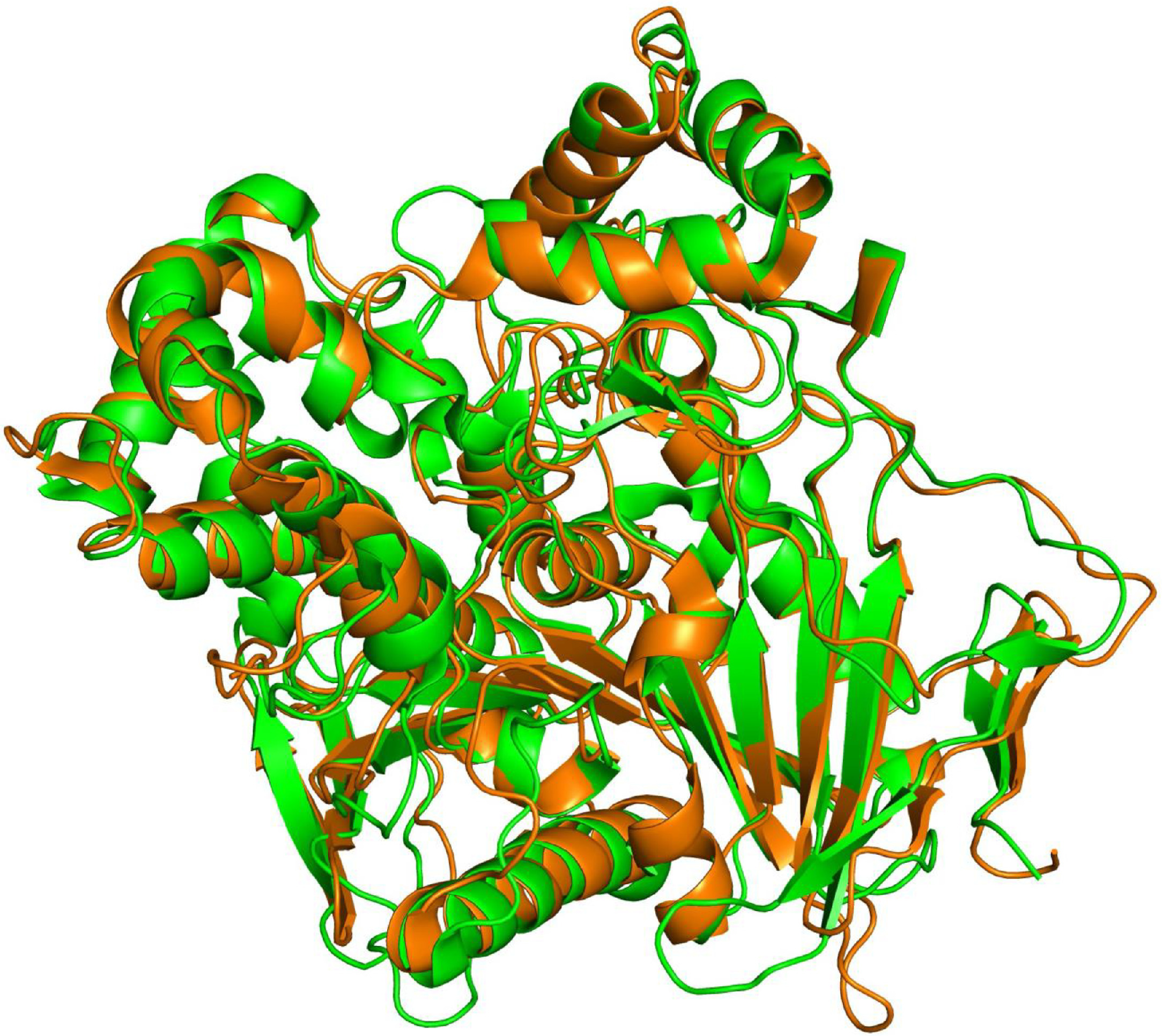Structure of an antennally-expressed carboxylesterase suggests lepidopteran odorant degrading enzymes are broadly tuned
