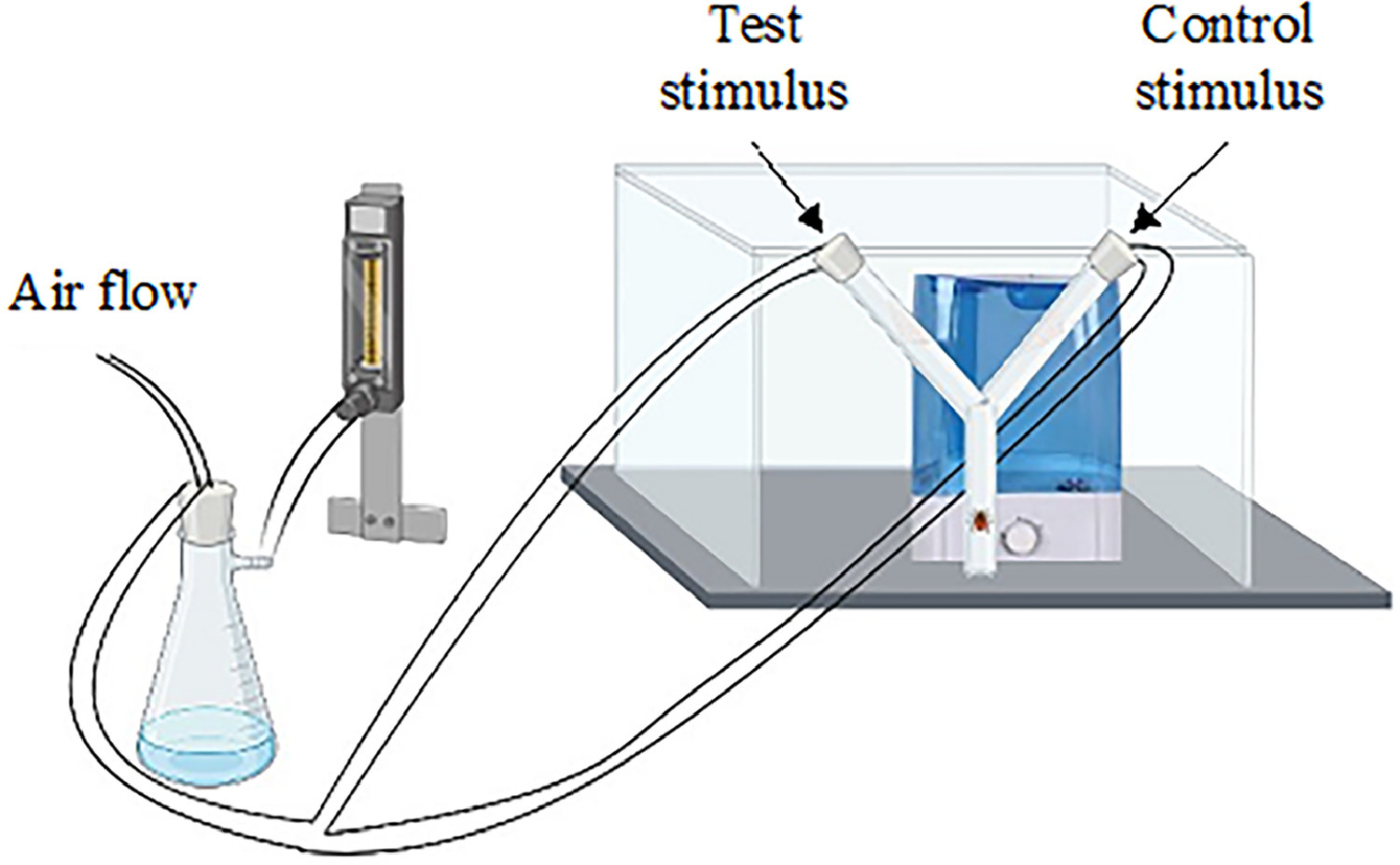Lemongrass essential oil and DEET inhibit attractant detection in <i>Ixodes scapularis</i> ticks