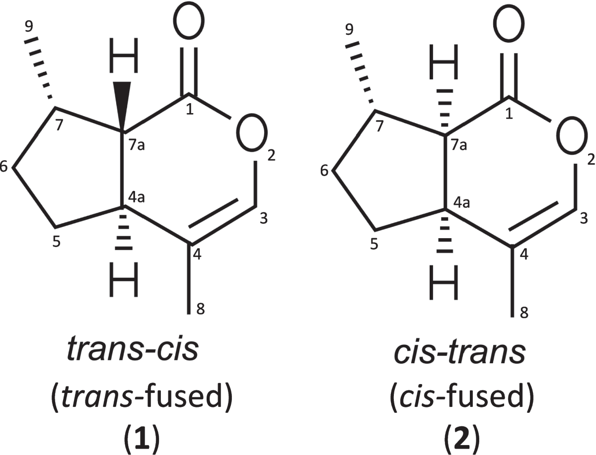 Chemical composition matters! The role of nepetalactone isomers in tick repellency